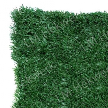 Canada Kunstaag (CN)