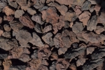 Lava 50/100 gewassen en ontgruisd (1000 kg/m³)   